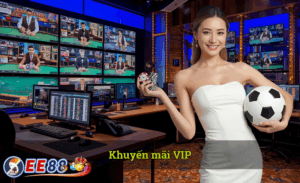 Khuyến mãi VIP EE88
