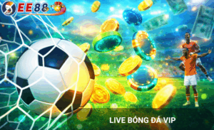 Soi kèo phạt góc ee88